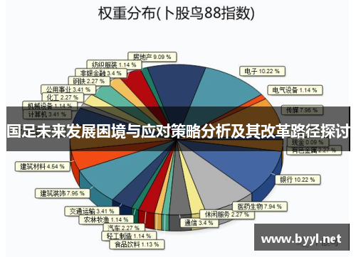 国足未来发展困境与应对策略分析及其改革路径探讨