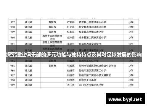 探索建业俱乐部的多元功能与独特特点及其对足球发展的影响